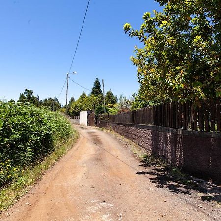 Chalet Pico Das Pedras Santana  Kültér fotó