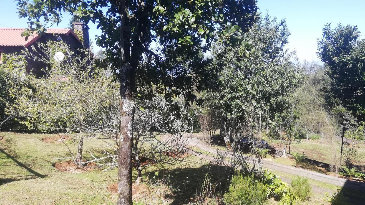 Chalet Pico Das Pedras Santana  Kültér fotó