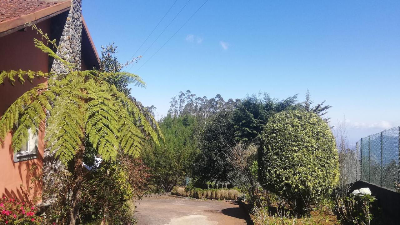 Chalet Pico Das Pedras Santana  Kültér fotó