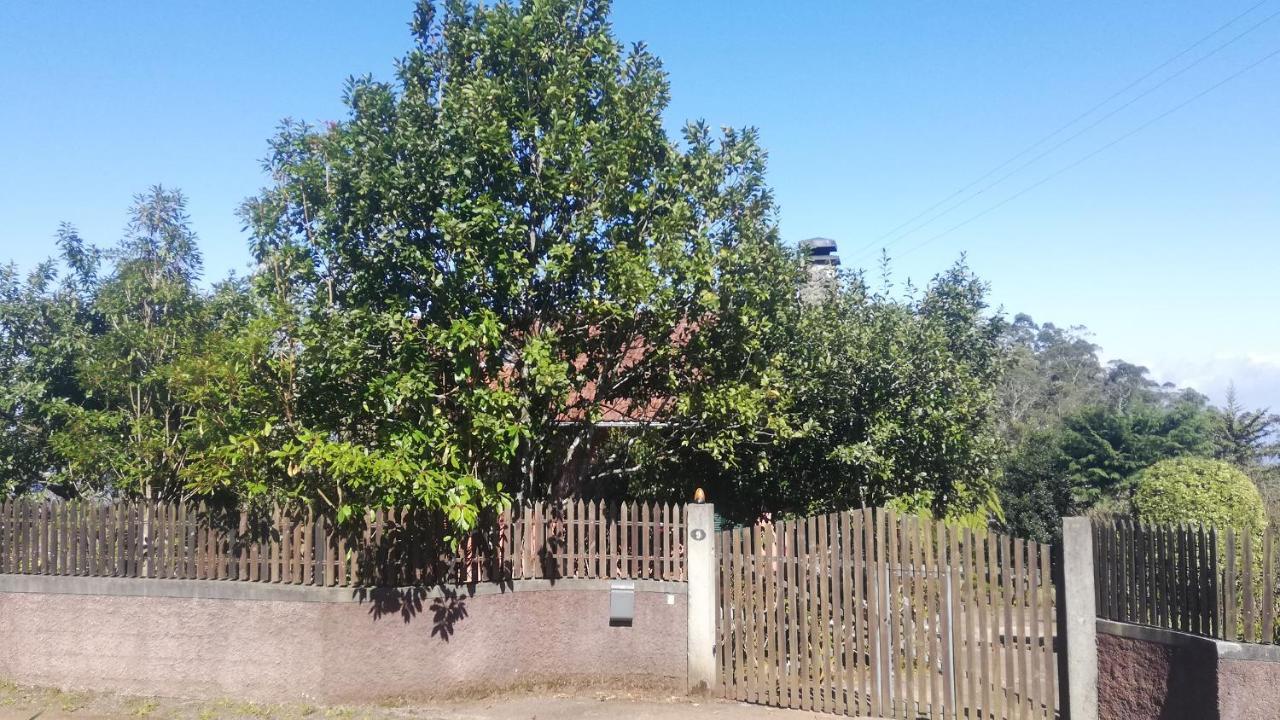 Chalet Pico Das Pedras Santana  Kültér fotó