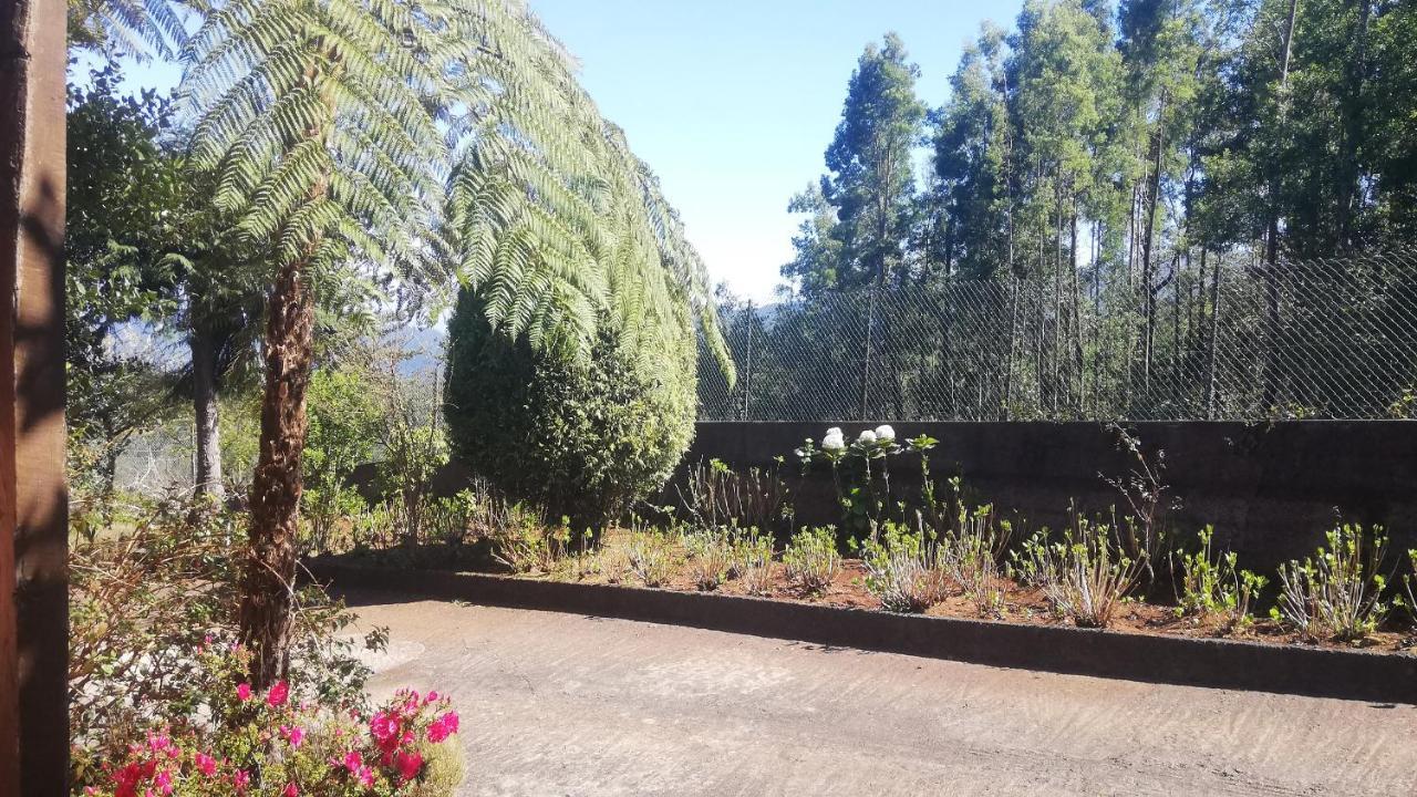 Chalet Pico Das Pedras Santana  Kültér fotó