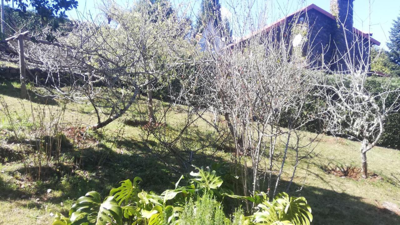 Chalet Pico Das Pedras Santana  Kültér fotó