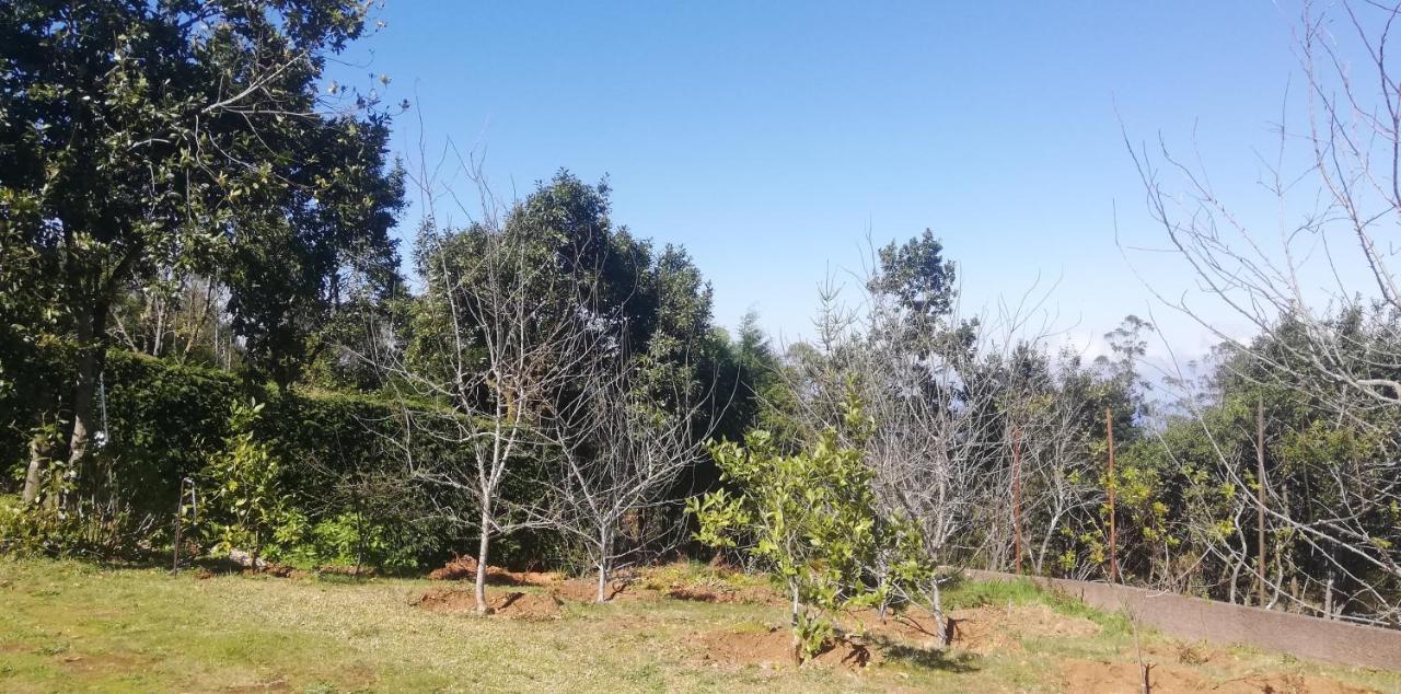 Chalet Pico Das Pedras Santana  Kültér fotó
