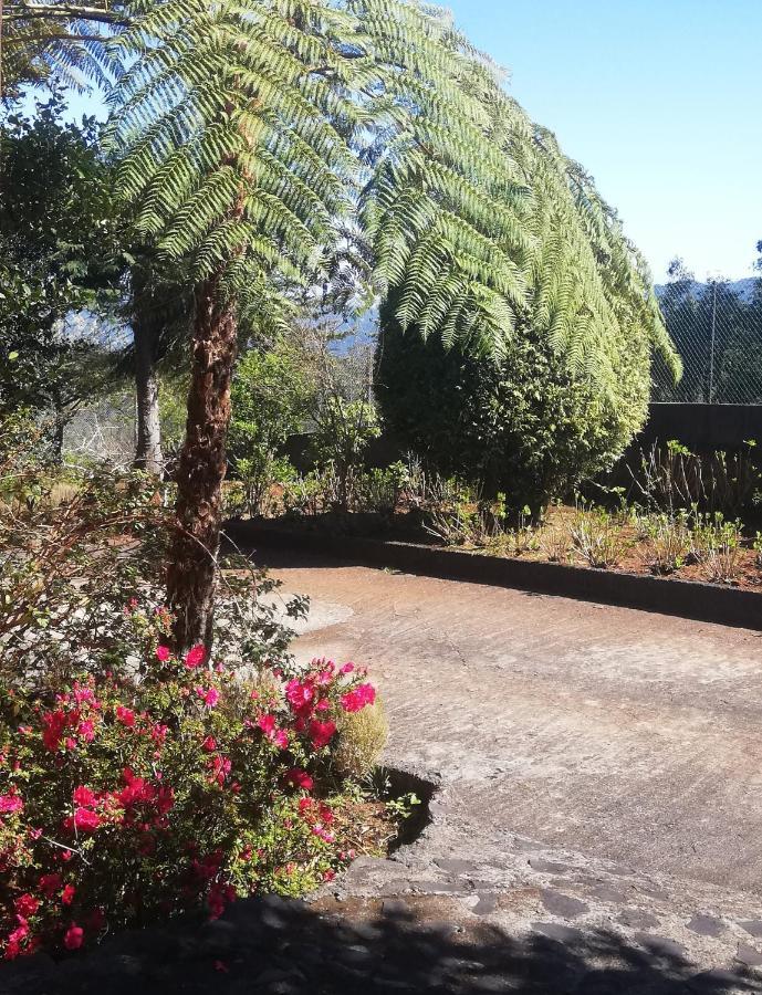 Chalet Pico Das Pedras Santana  Kültér fotó