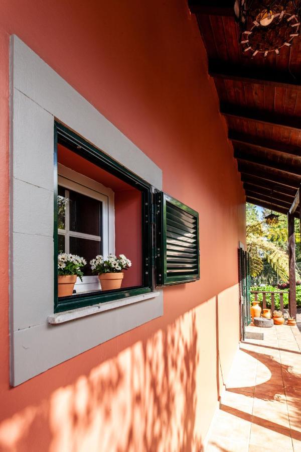 Chalet Pico Das Pedras Santana  Kültér fotó