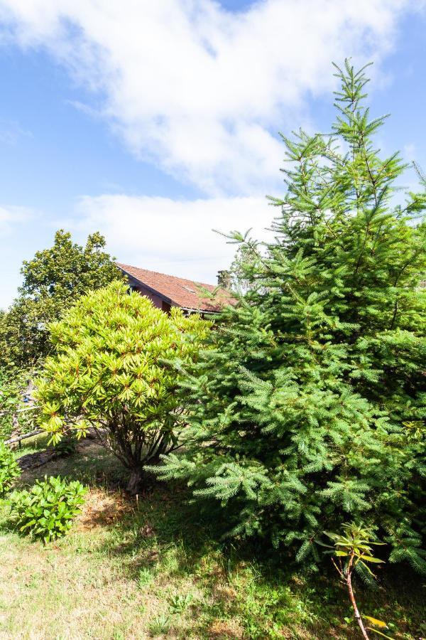 Chalet Pico Das Pedras Santana  Kültér fotó