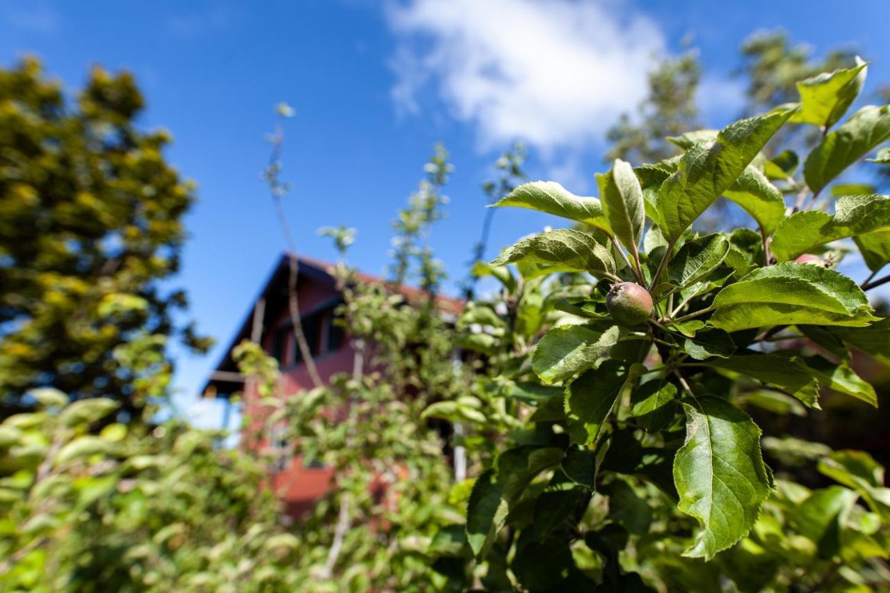 Chalet Pico Das Pedras Santana  Kültér fotó