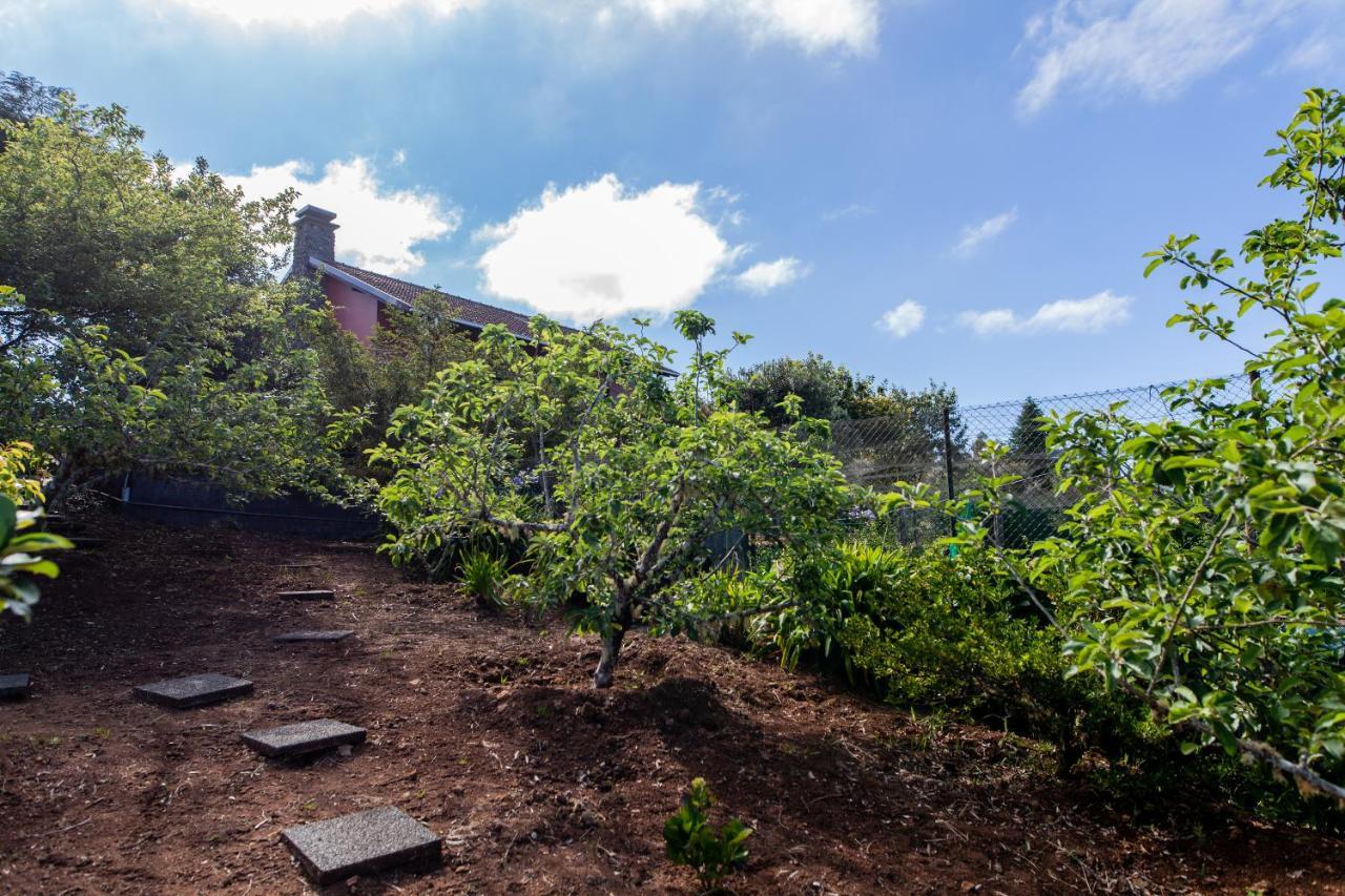 Chalet Pico Das Pedras Santana  Kültér fotó